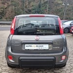 Fiat Panda 1.0 Hybrid MY23 Komfort-Paket Klimaanlage - Bild 18