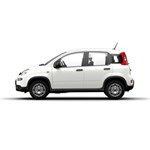 Fiat Panda 1.0 GSE Hybrid MY24 Komfort-Paket Klimaanl - Bild 3